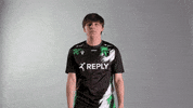 GIF by Reply Totem