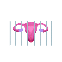 Reproductive Rights Abortion Sticker by INTO ACTION