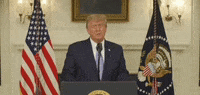 Donald Trump GIF by GIPHY News