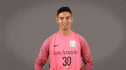 Division Ii Soccer GIF by Cal State LA Golden Eagles