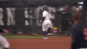 Softball Wildcats GIF by Northwestern Athletics