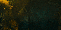 The Green Knight GIF by A24
