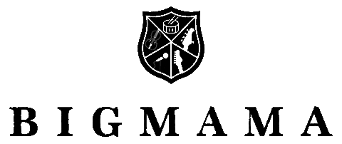 Logo Band Sticker by BIGMAMA = Rock + violin