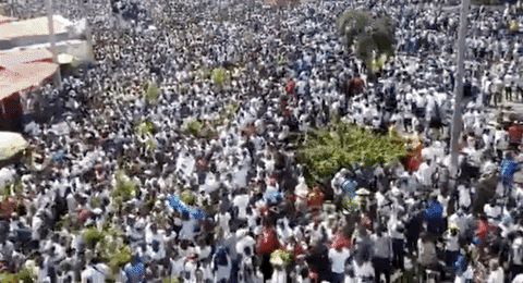 giphyupload giphynewsinternational haiti protests GIF