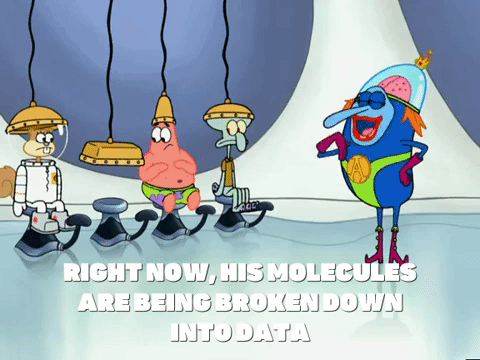 season 5 GIF by SpongeBob SquarePants