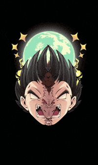 vegeta dmtx GIF