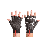 SauerShootingsportswear sauer sauershootingsportswear sauershooting shootingglove Sticker