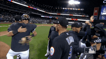 Ny Mets Celebration GIF by New York Mets
