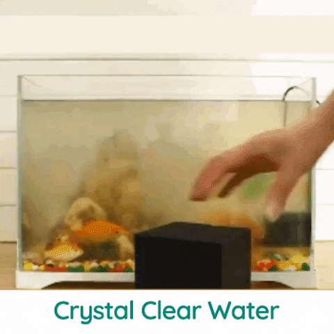 jordannikolov412d58458e5e480e8c2427b3e0e78ac8 giphyupload GIF