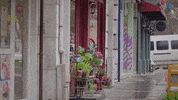 Binnurkaya GIF by Show TV