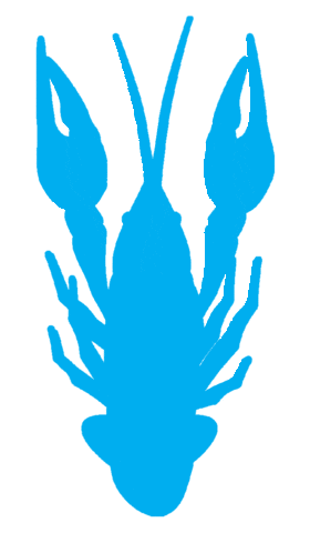 Seafood Louisiana Sticker by williesbr