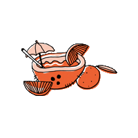 EnjoyLeLick orange candy coconut hydration Sticker