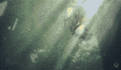 Memory Nina GIF by Xbox