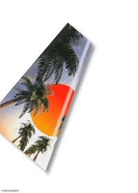 gustavo torres loop GIF by kidmograph