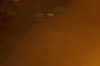 GIF by Paloma Mami