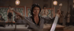 martial arts film GIF by Shaw Brothers
