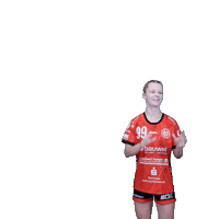 Handball Sticker by Hollenstedt-Handball