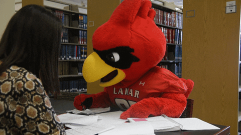 Frustrated Big Red GIF by Lamar University