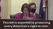 Amy Klobuchar GIF by GIPHY News