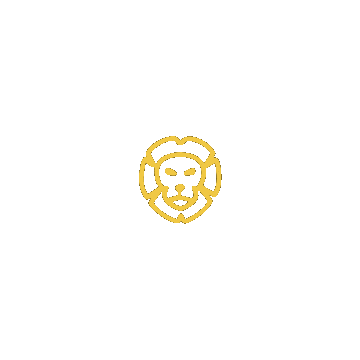 African Safari Travel Sticker by South African Tourism