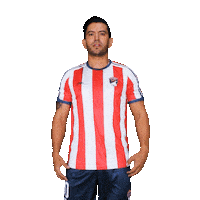 Soccer Celebrating Sticker by Ganabetmx