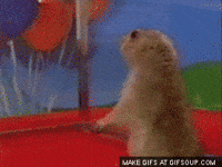 suprised GIF
