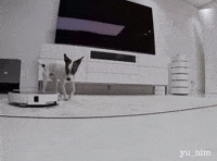 Happy Vacuum Cleaner GIF