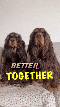 Best Friends Bestie GIF