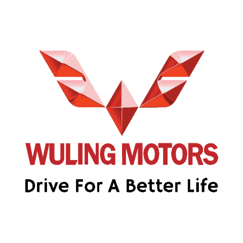 wulingmotors giphyupload car wuling wuling motors Sticker