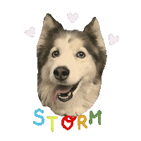 Storm Sticker