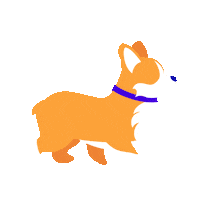 sjgmotion cute walking corgi cutedog Sticker