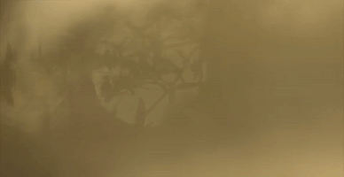 dark net my community GIF by Vocativ