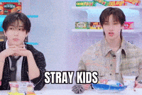 Stray Kids GIF