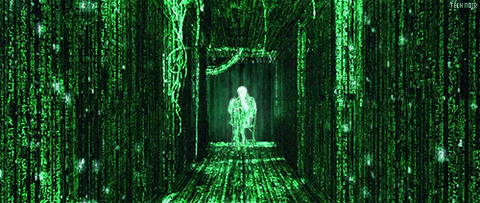 butting giphyupload matrix bernie bernie sanders GIF