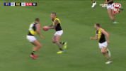 2018 season football GIF by AFL