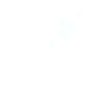 hs-movies flower japan sakura 花 Sticker
