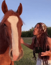 Frustrated Horse GIF
