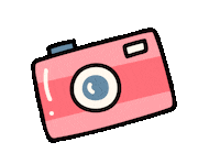 Camera Foto Sticker by Evelyn regly