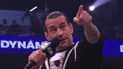 Cm Punk GIF by Leroy Patterson