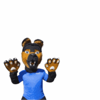 Dolly Selargius GIF by Polisportiva Libertas Campidano ASD