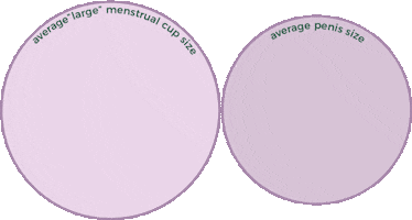 Anatomy Menstrual Cup Sticker by Period Nirvana