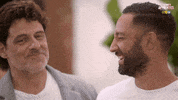 Laugh Lol GIF by Celebrity Apprentice Australia