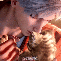 Cat GIF