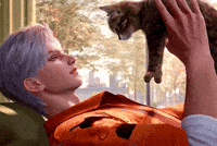 Cat GIF