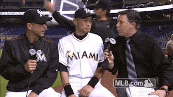 florida marlins GIF by MLB