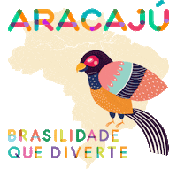 curtamarisol aracaju marisol brasilidade Sticker