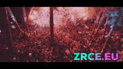 Party Edm GIF by zrce.eu