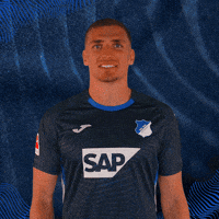 Grischa Prömel Sport GIF by TSG Hoffenheim