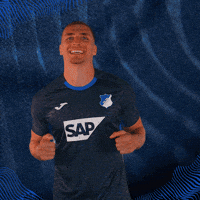 Grischa Prömel Sport GIF by TSG Hoffenheim
