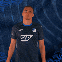 Grischa Prömel Sport GIF by TSG Hoffenheim